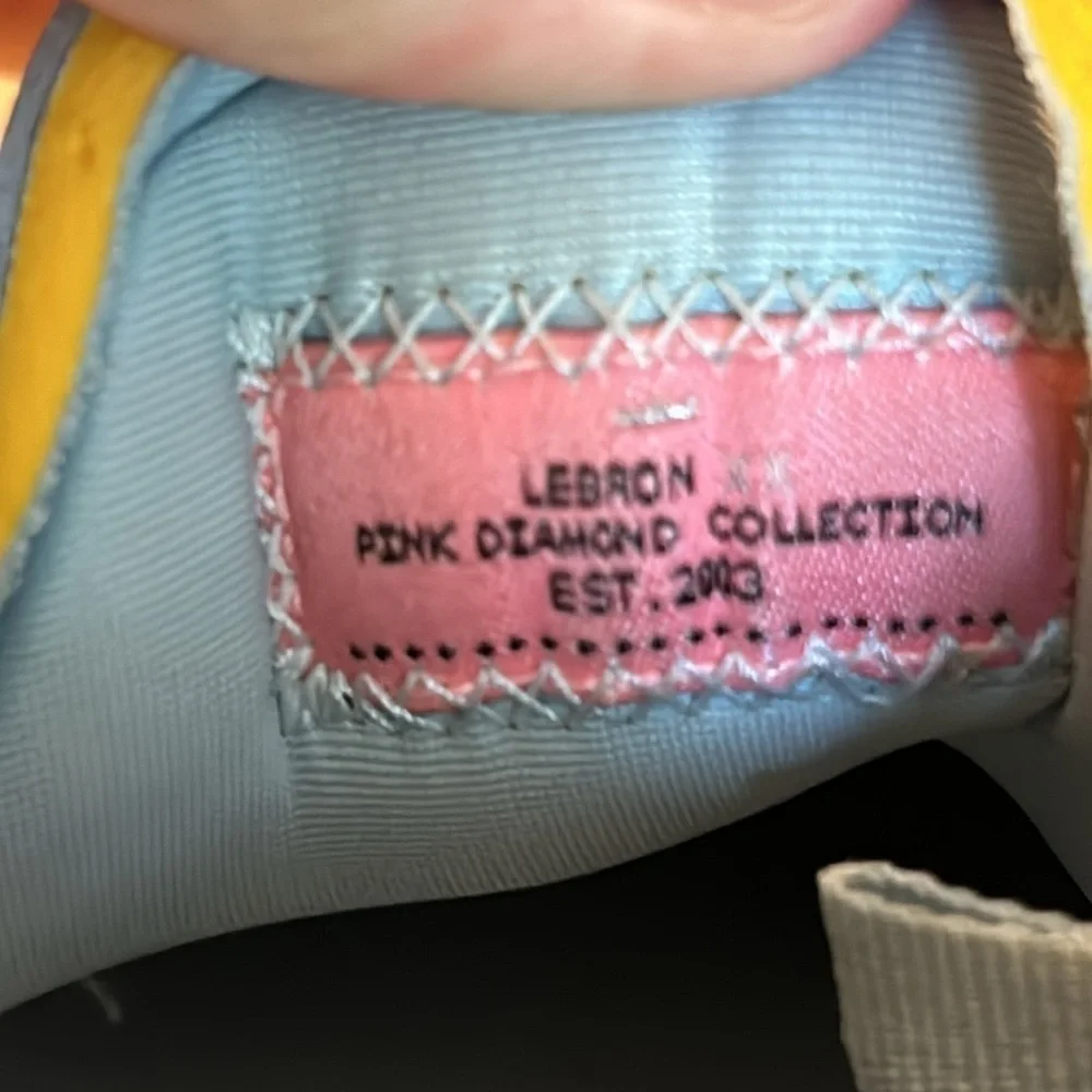 Nike Lebron 20 XX x UNKNWN Message in a Bottle Guava Ice Emerald Rise DV9090 801